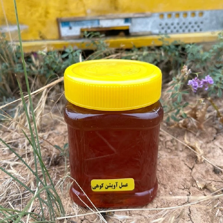 عسل کوهی گل چین: عسل چند گیاه خالص جنگلها و کوهستانهای مازندران | وزن 1000 گرم